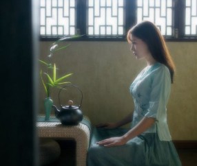 2.21.6卵泡（20×12卵泡）